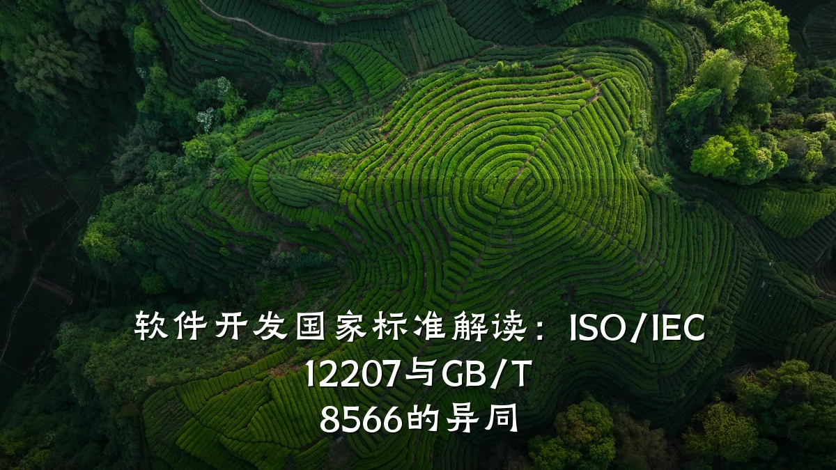 软件开发国家标准解读:ISO/IEC 12207与GB/T 8566的异同
