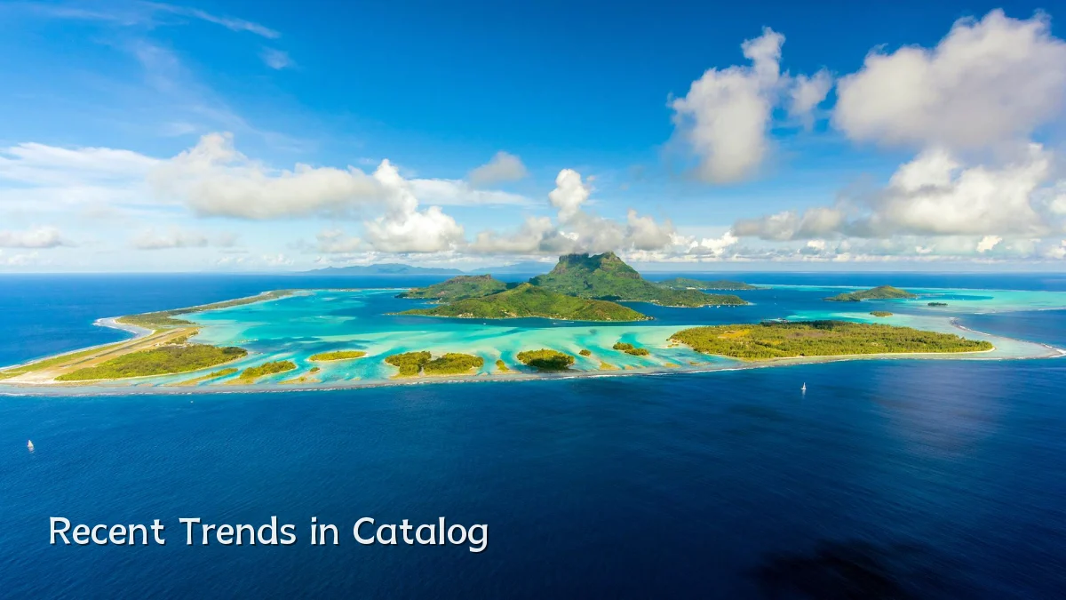 Recent Trends in Catalog