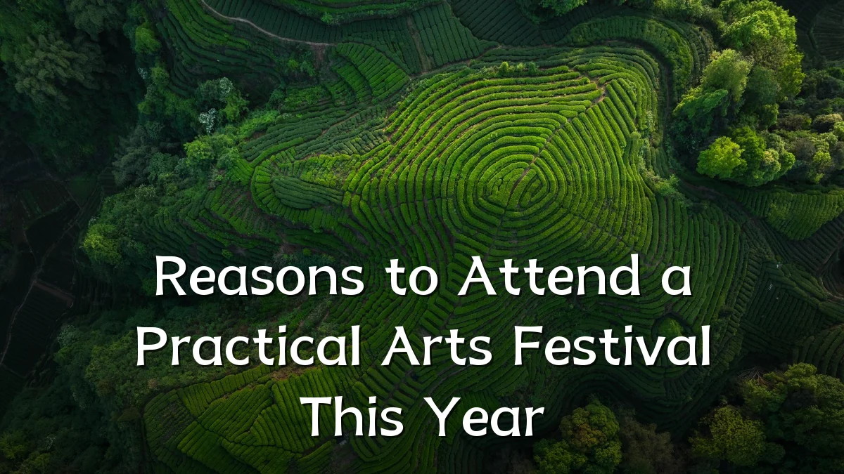 Reasons to Attend a Practical Arts Festival This Year