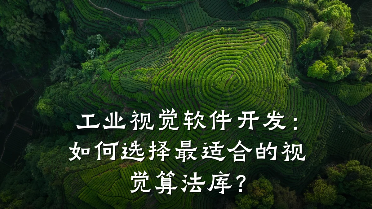 工业视觉软件开发:如何选择最适合的视觉算法库?