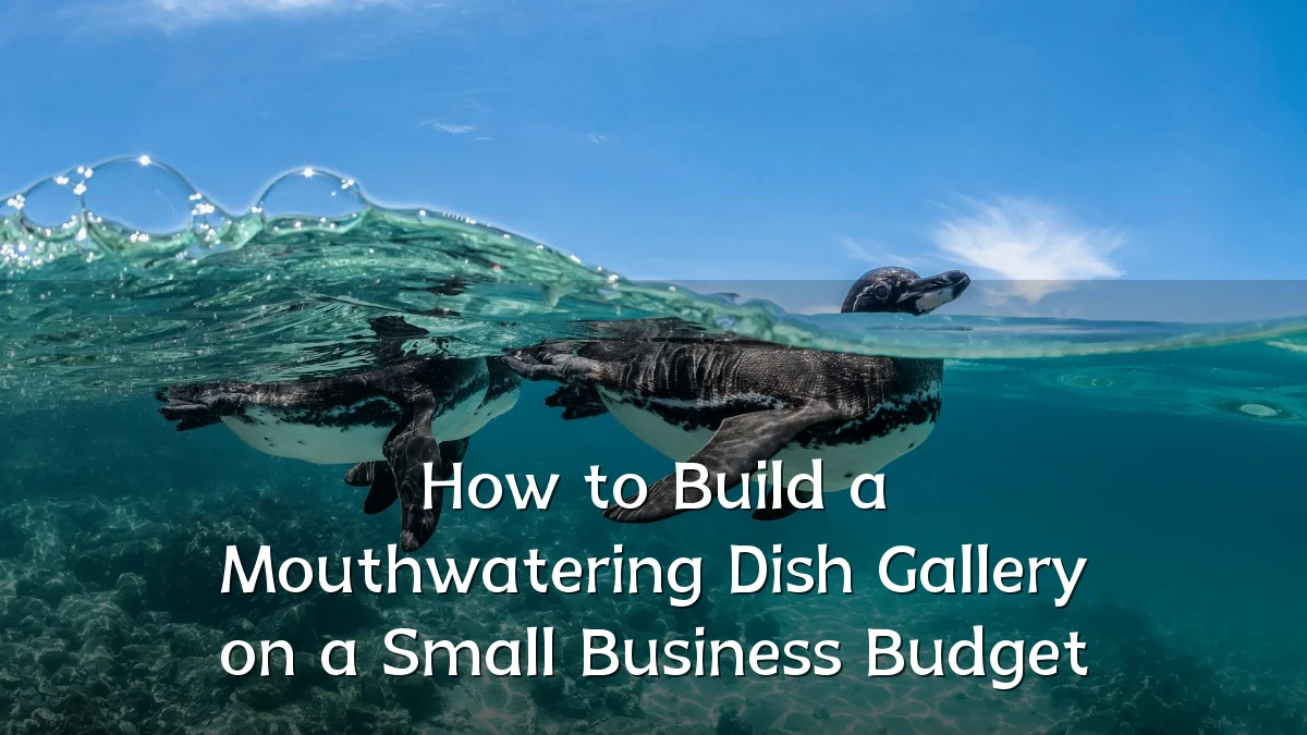 How to Build a Mouthwatering Dish Gallery on a Small Business Budget