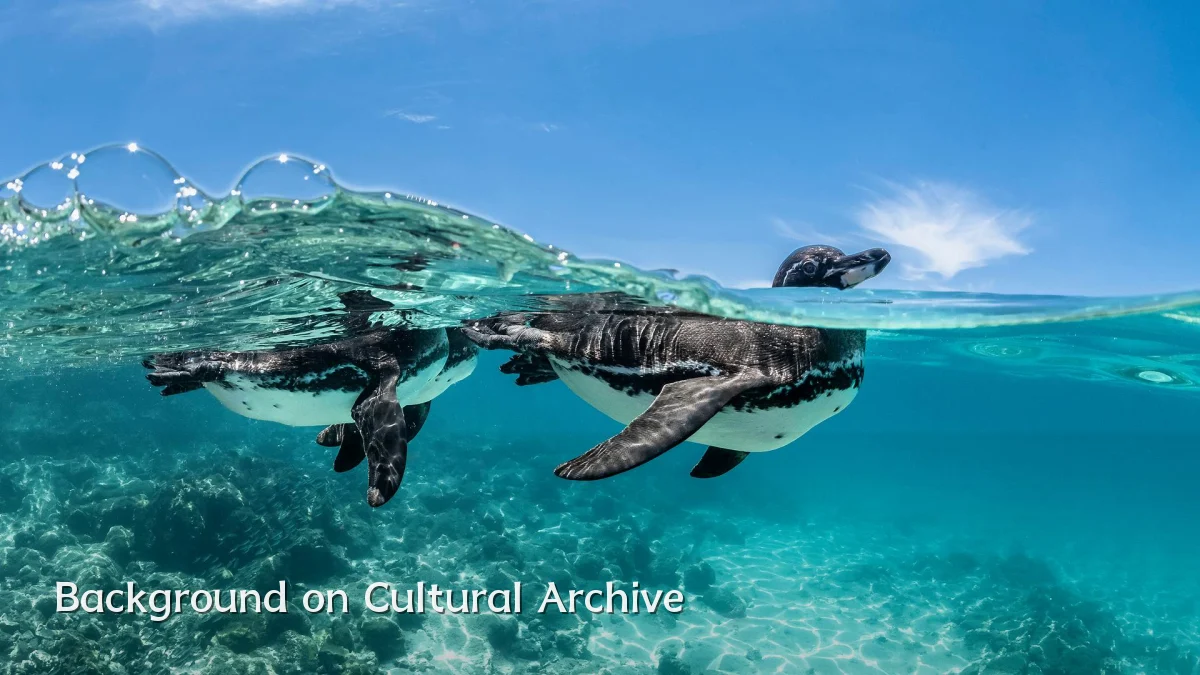 Background on Cultural Archive