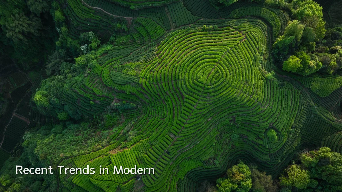 Recent Trends in Modern