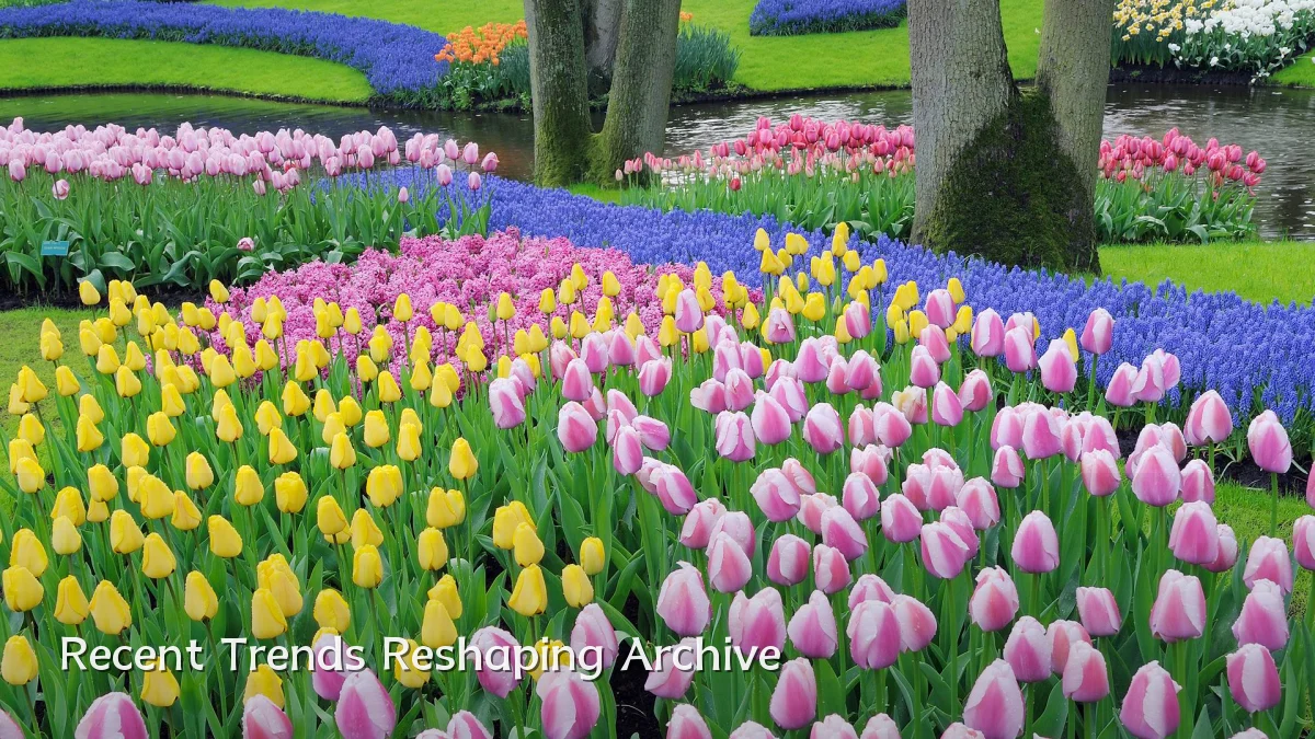 Recent Trends Reshaping Archive