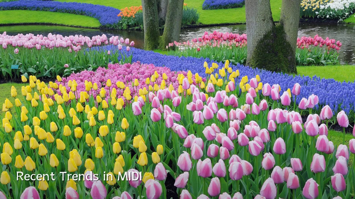 Recent Trends in MIDI